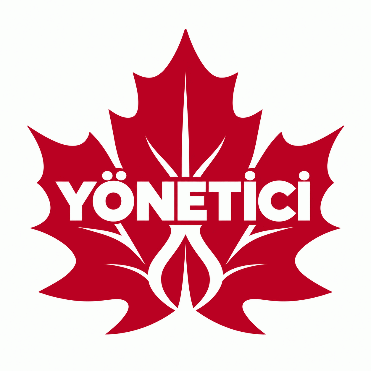 Sekiz Yönetici